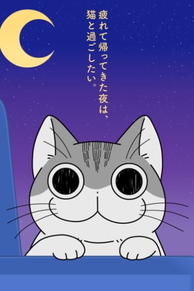 Nights with a Cat Season 2