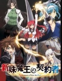The Testament of Sister New Devil