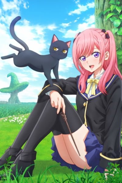 The Classroom of a Black Cat and a Witch