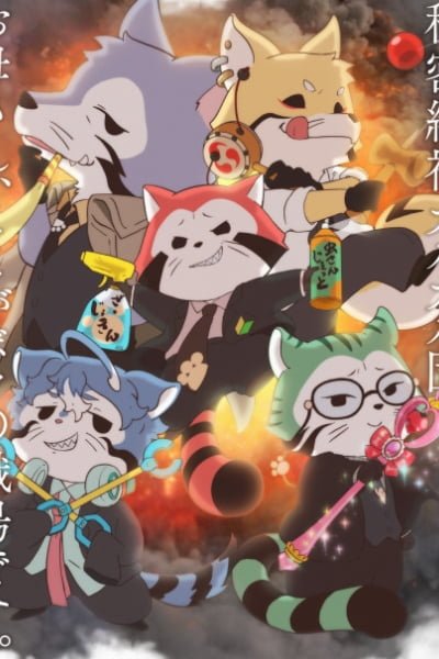 Raccoon Calcal Force